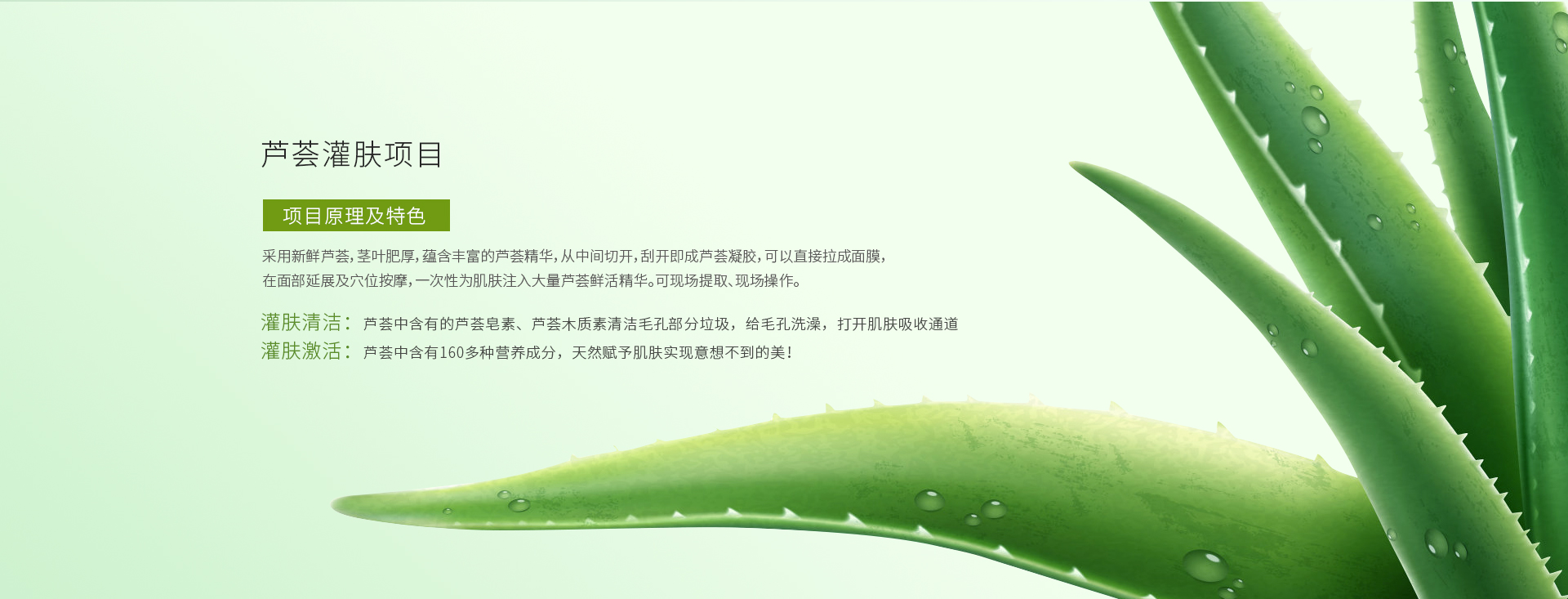 生活馆店护项目_11